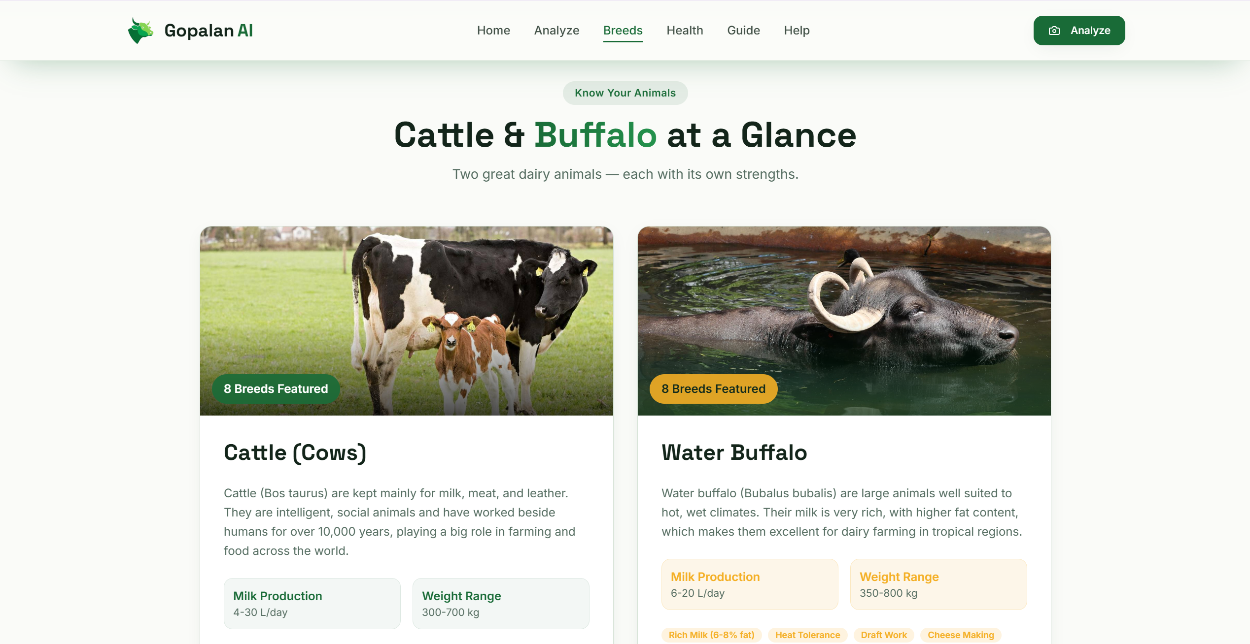 Cattle Scoring & Breed Selection — screenshot