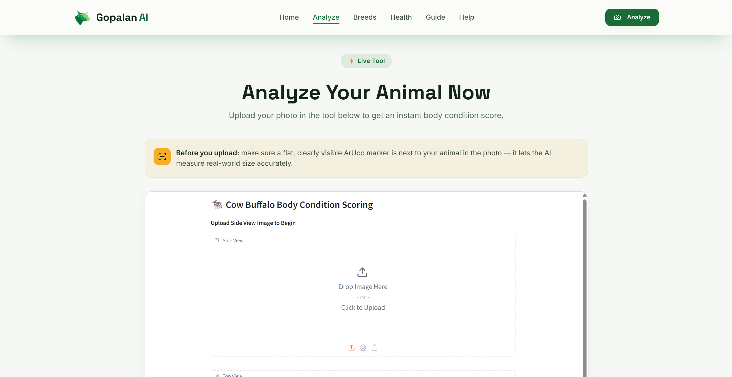 Cattle Scoring & Breed Selection — screenshot 5