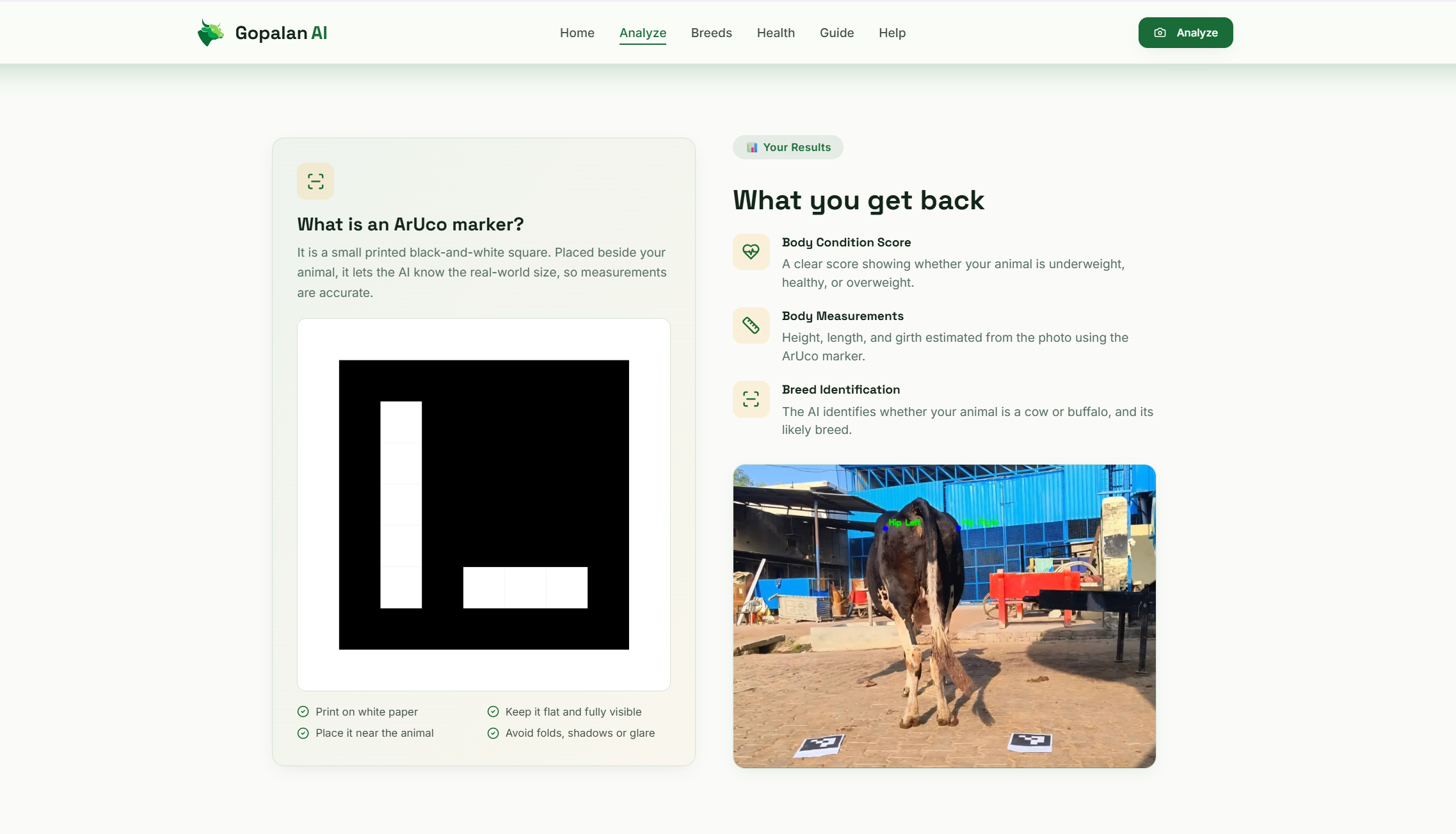 Cattle Scoring & Breed Selection — screenshot 6