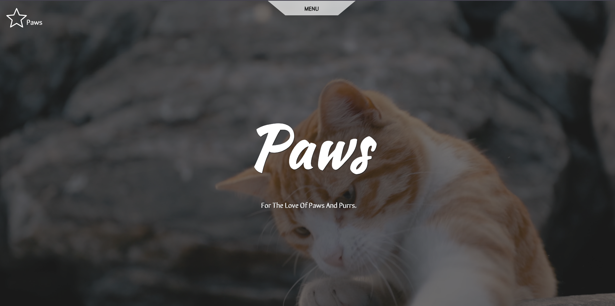 PAWS — screenshot