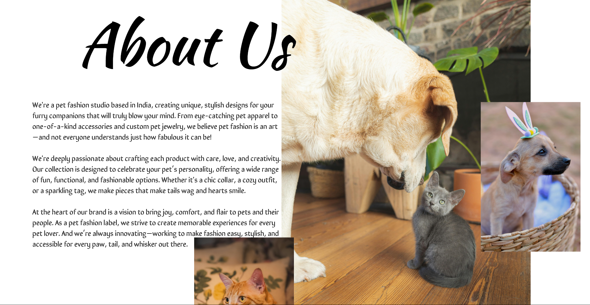 PAWS — screenshot 2